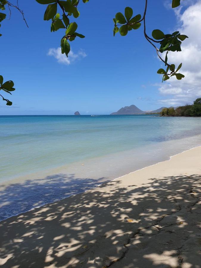 Ste Luce, N° 11 Appart -300M Plage De Mabouyas Corps de Garde Eksteriør billede